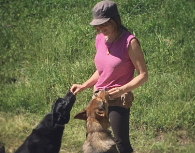 adiestramiento de perros en asturias